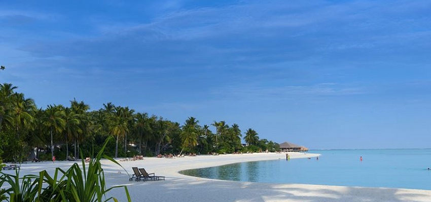 COCOON MALDIVES - Изображение 0