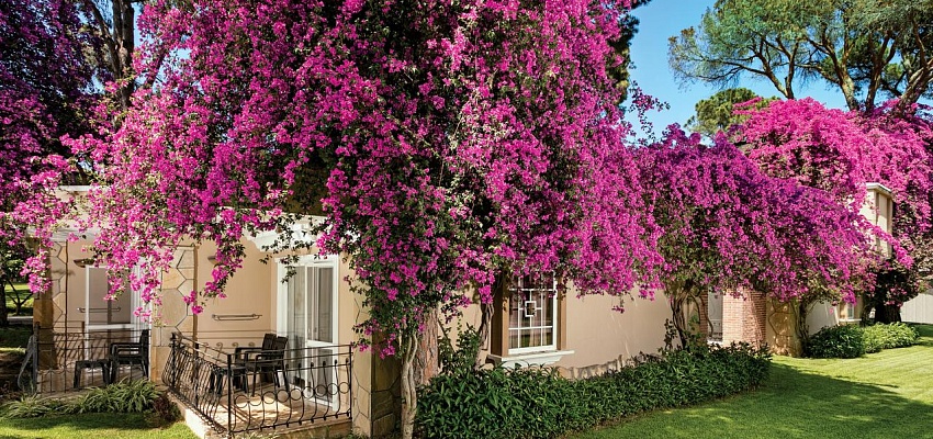 PINE BEACH BELEK 5* - Изображение 0