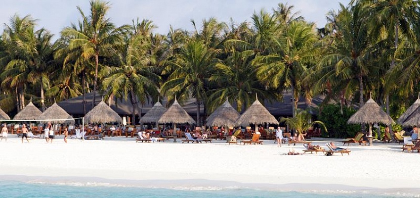 Роскошный отдых на Мальдивах в отеле Sun Island Resort & spa! - Изображение 0