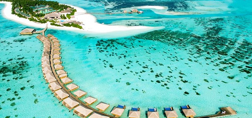 COCOON MALDIVES - Изображение 0