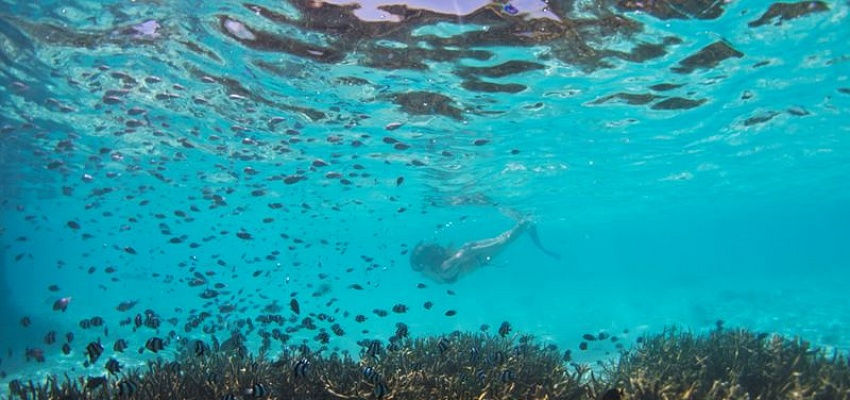 Роскошный отдых на Мальдивах в отеле Sun Island Resort & spa! - Изображение 0