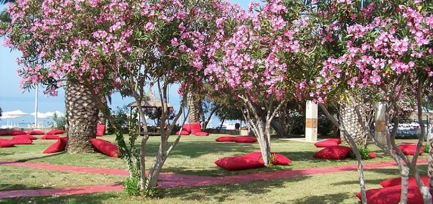 LADONIA HOTELS KESRE - Изображение 0
