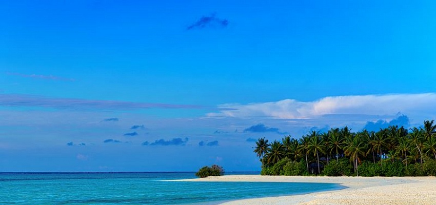 COCOON MALDIVES - Изображение 0